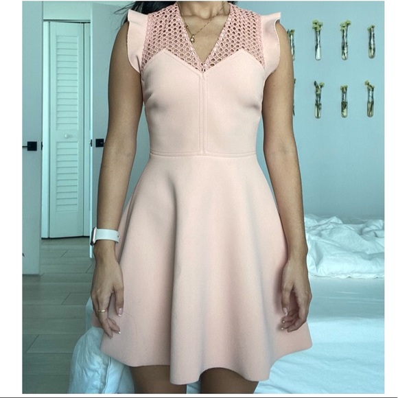 Sandro Pink Mini Dress - Picture 5 of 5